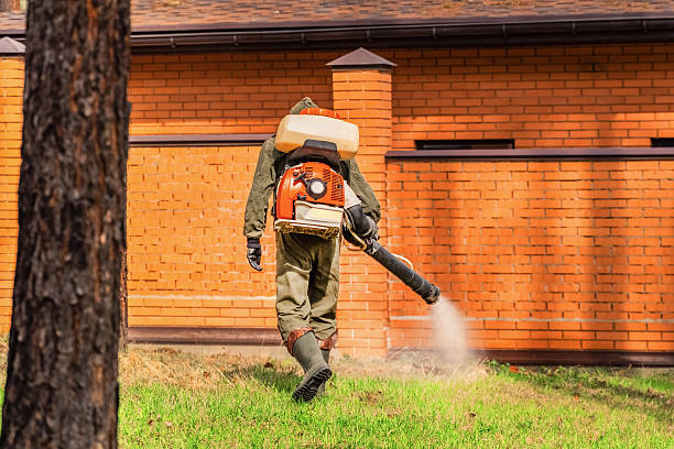 Bed Bug Clearance Verification and Documentation in Bayou Vista